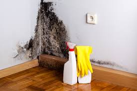 Best Water Damage & Mold Remediation in Wrightwood, CA